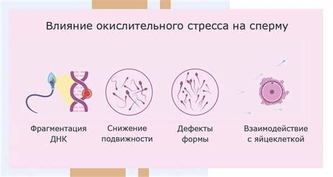 Влияние возраста на качество спермы
