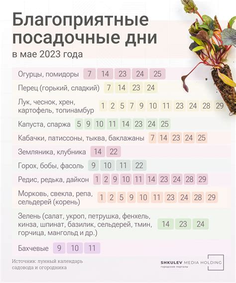 Влияние времени года на посадку кустов и деревьев