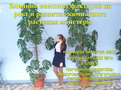Влияние генетики и внешних факторов на развитие