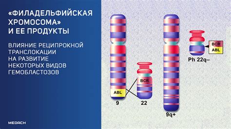 Влияние генетического материала на развитие