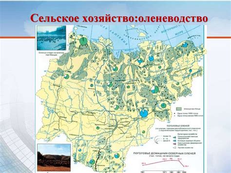 Влияние географического положения на начало весны
