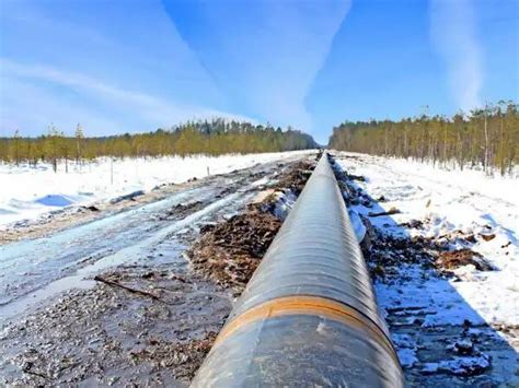 Влияние гололеда на городскую инфраструктуру