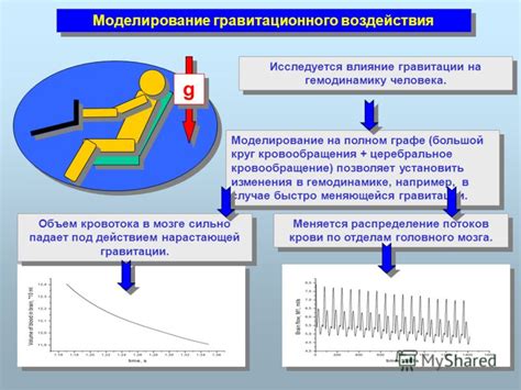 Влияние гравитации на кровообращение