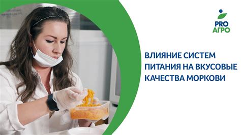 Влияние длительности соления на вкусовые качества