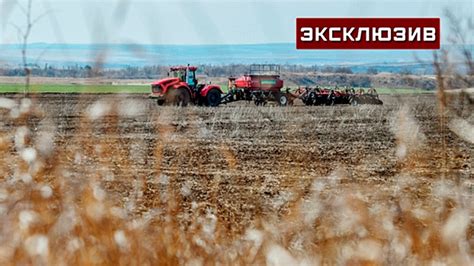 Влияние заморозков на рост