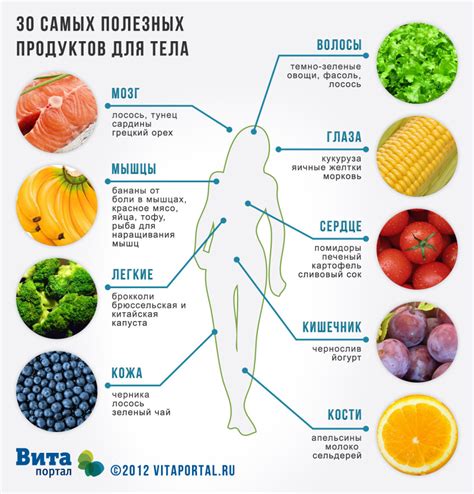 Влияние клещей на здоровье
