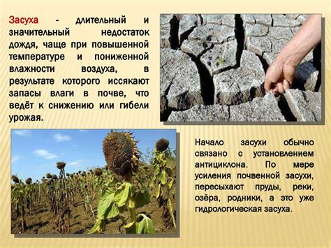 Влияние климата на созревание плодов