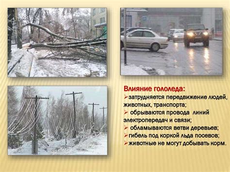Влияние климатических условий на созревание ягод