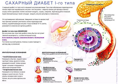 Влияние креатина на диабет 1 типа