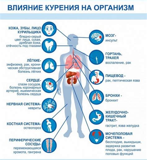 Влияние курения на организм