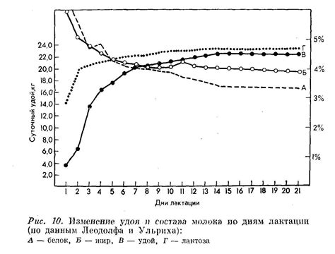 Влияние лактационного периода