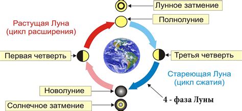Влияние луны на земной организм