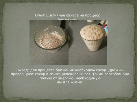 Влияние меди на процесс брожения