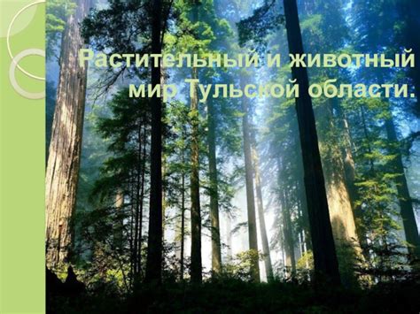 Влияние морозов на животный и растительный мир Тульской области