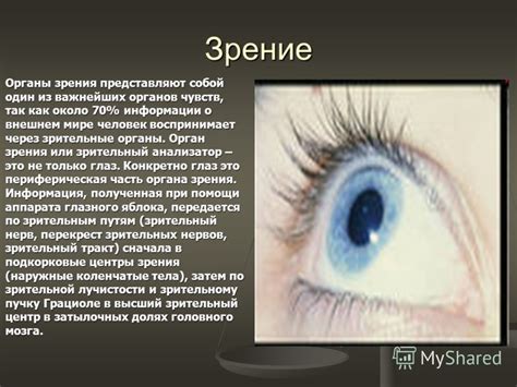 Влияние на зрительные органы