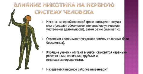 Влияние на кровообращение и нервную систему