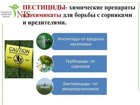 Влияние на окружающую среду и животный мир