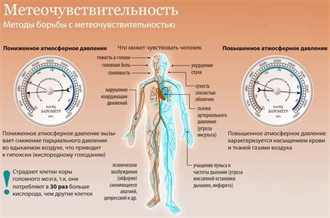 Влияние на организм и время суток