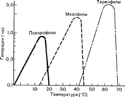 Влияние на рост