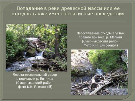 Влияние нерестовых миграций на экосистему Сахалина