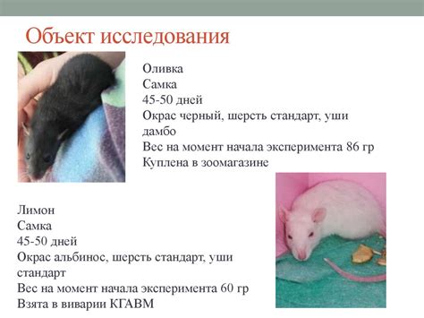 Влияние несоблюдения условий содержания