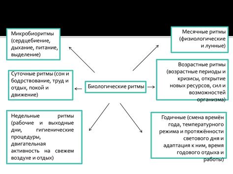 Влияние обеда на работоспособность