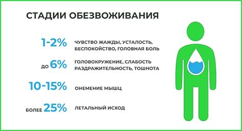 Влияние обезвоживания на работу мышц