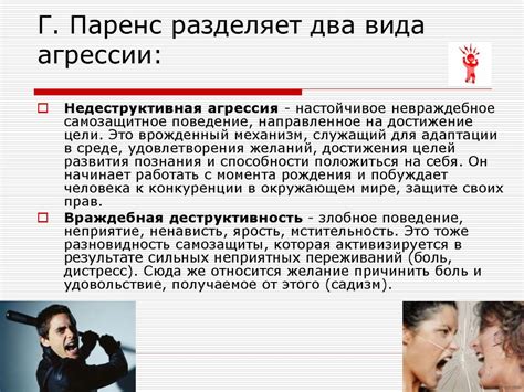 Влияние окружающей среды на агрессивное поведение