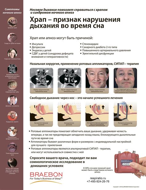 Влияние окружающей среды на храп во время сна у чихуахуа