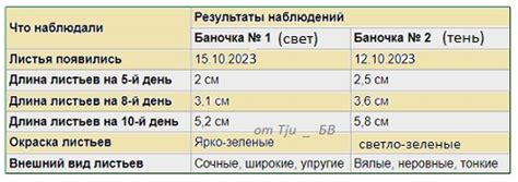 Влияние опавших листьев на развитие и урожай клубники