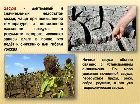 Влияние опоссумов на жизнь людей