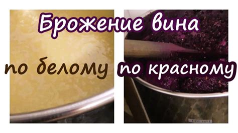 Влияние открывания вина на процесс брожения
