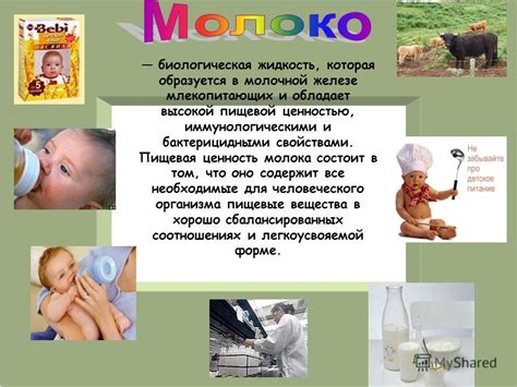 Влияние пастеризации на пользу молока: что надо знать