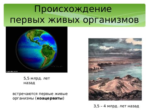 Влияние первых живых организмов на окружающую среду