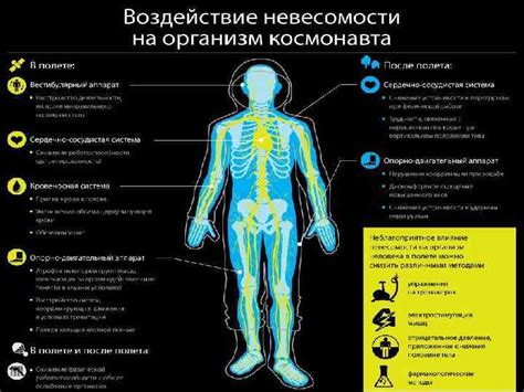Влияние перегрузки на организм