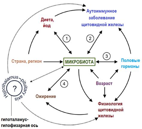 Влияние пигментации на поглощение йода