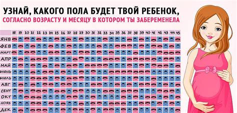 Влияние пищи на определение пола ребенка