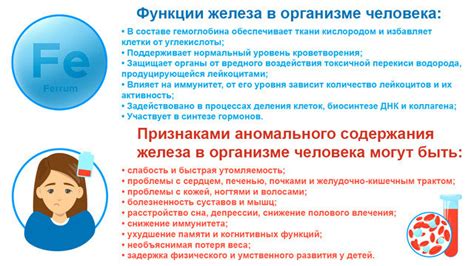 Влияние повышенного железа в крови на женское здоровье