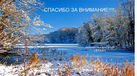 Влияние погодных условий на обрезку