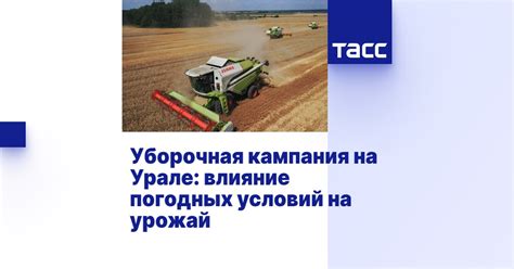 Влияние погодных условий на сбор урожая
