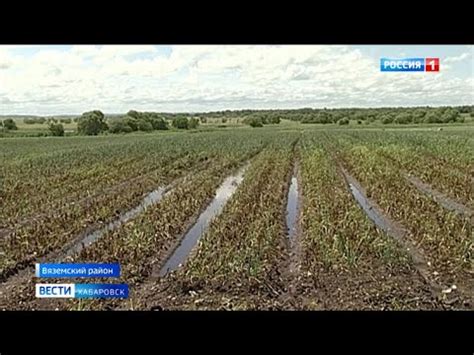 Влияние погоды на работу на огороде