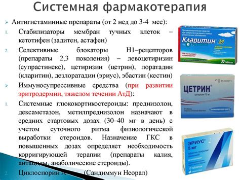 Влияние противоаллергических препаратов на здоровье кошек