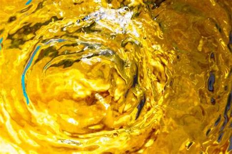 Влияние растительного масла на современную кулинарию