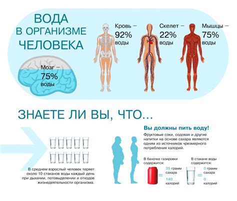 Влияние свободной жидкости на организм