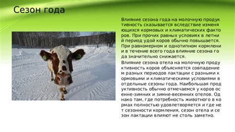 Влияние сезона на аппетит животных