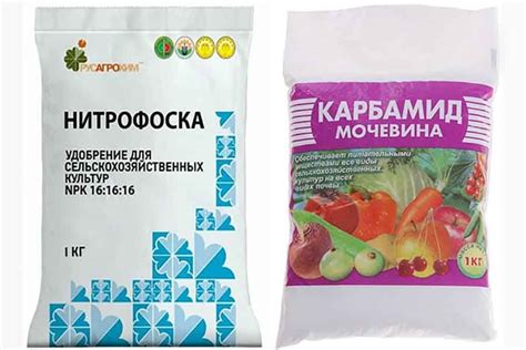 Влияние сезона на эффективность нитрофоска