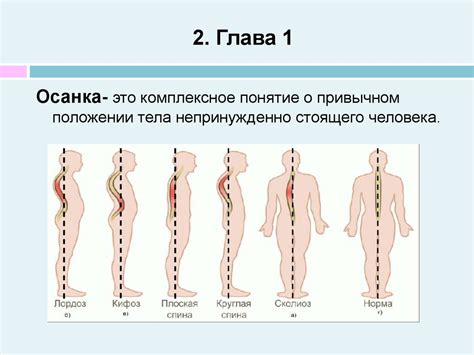 Влияние силы на человеческое тело