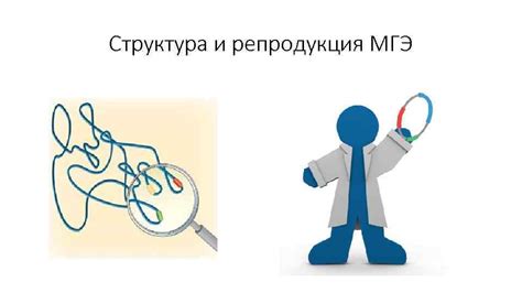 Влияние смешения ВМГЗ и МГЭ на сроки строительства