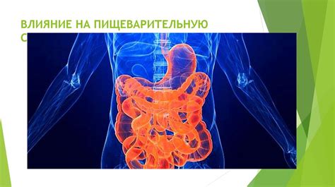 Влияние соления на пищеварительную систему