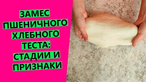 Влияние состава теста